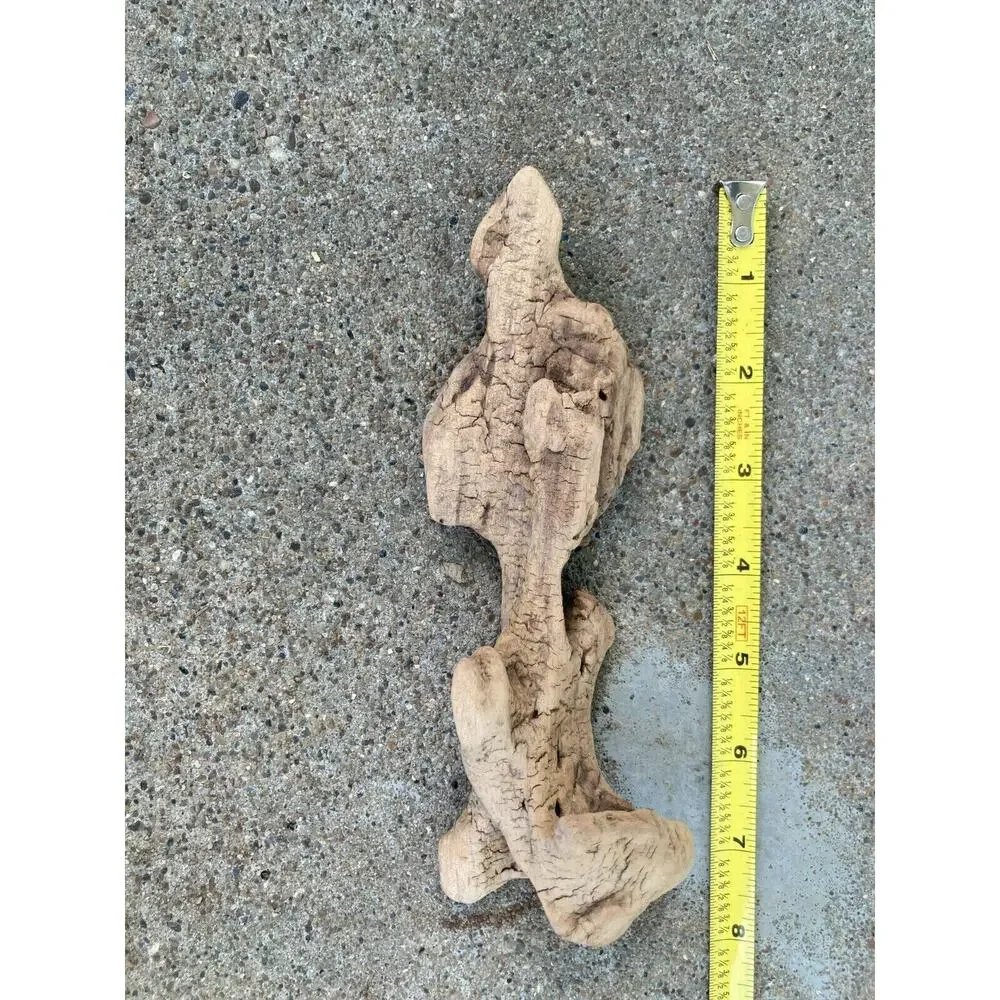 Ohio River Driftwood 7